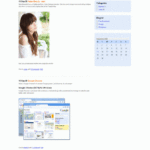 GOOGLE CHROME BLOG THEME