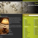 10 ELEGANT WORDPRESS THEMES